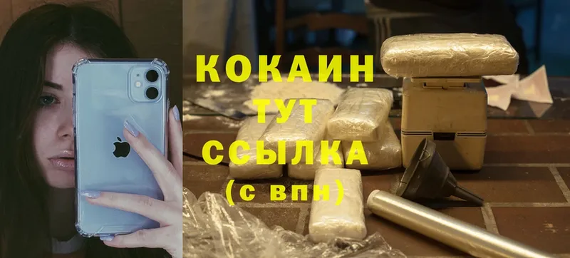 КОКАИН Fish Scale  купить закладку  Белозерск 